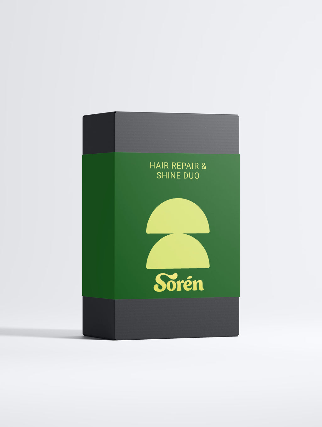 Hair Repair & Shine Duo