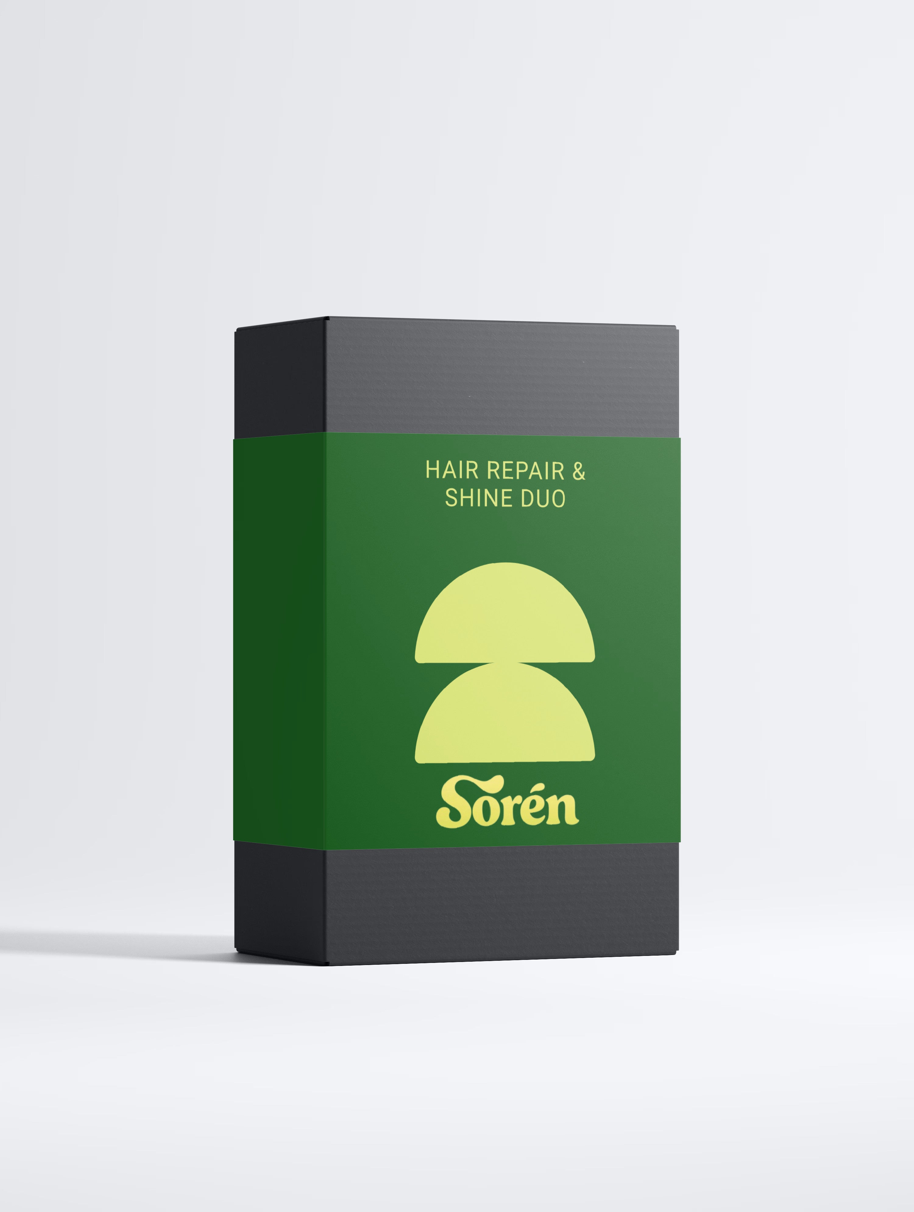 Hair Repair & Shine Duo