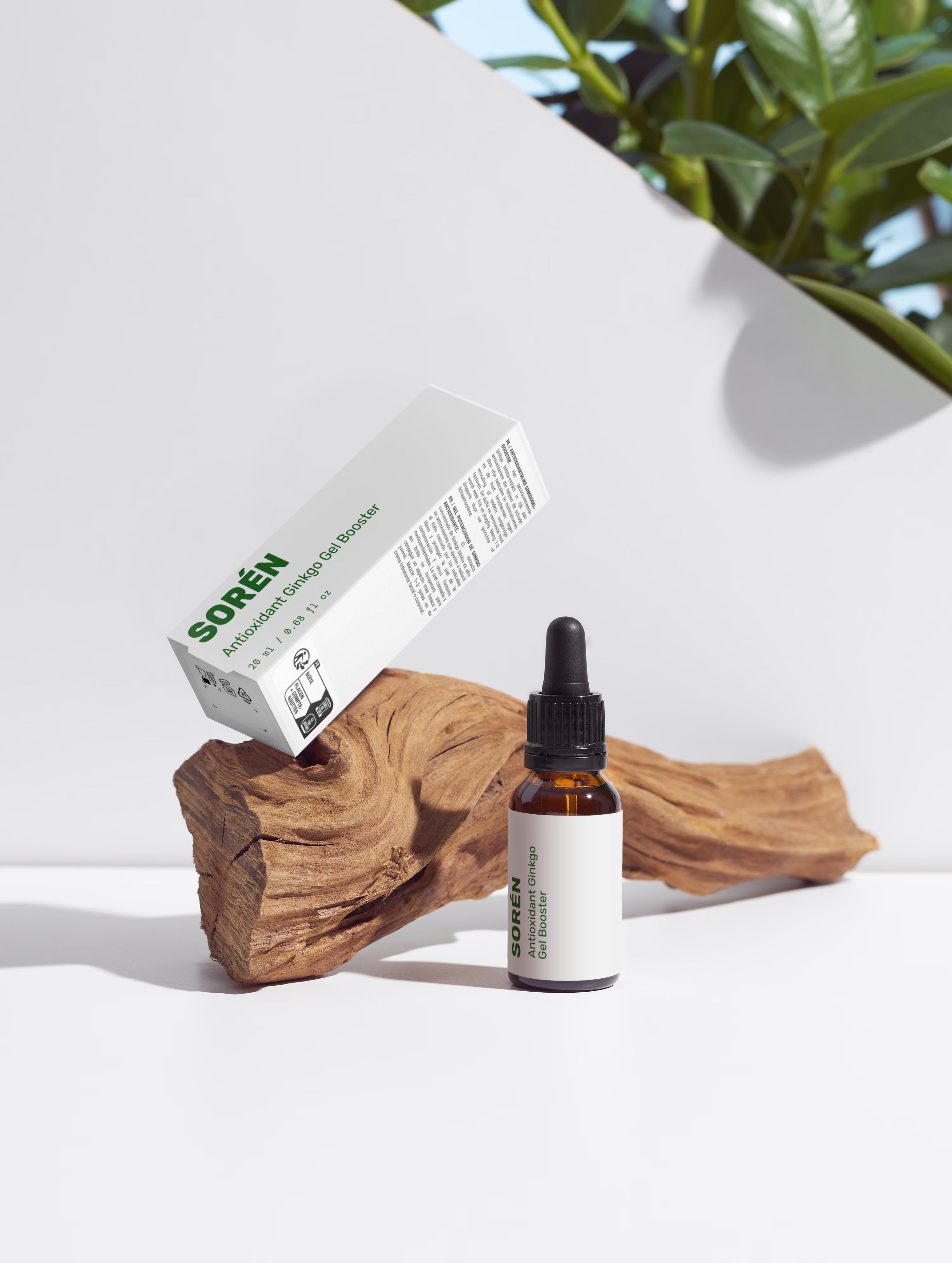 Antioxidant Ginkgo Gel Booster