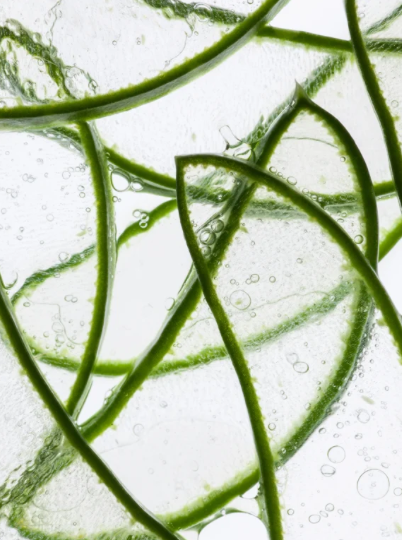 Anti-Age Hydrogel Eye Patches